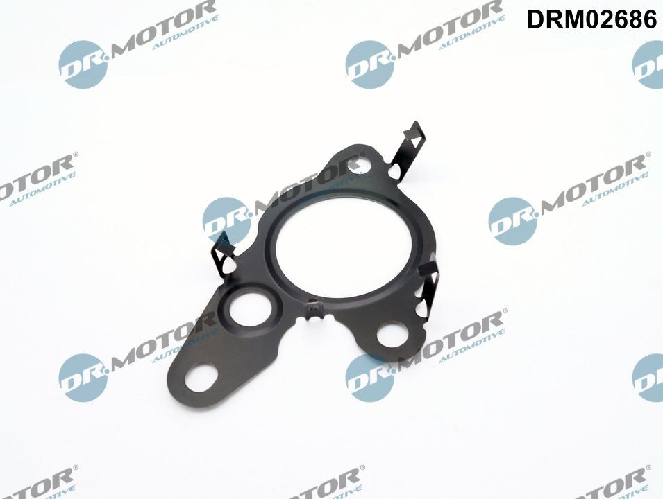 DR.MOTOR AUTOMOTIVE Guarnizione valvola EGR (ricircolo gas scarico) DRM02686 DR.MOTOR AUTOMOTIVE DRM02686 Guarnizione valvola EGR (ricircolo gas scarico)