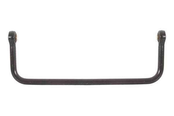 REINHOCH Barra stabilizzatrice RH56-3009 REINHOCH RH56-3009 Barra torsione CLA Coupe (C118) prezzo