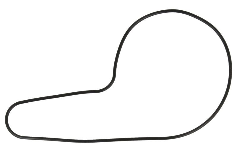 ATHENA Junta, bomba de água S410210024051 auto Junta de bomba de água ATHENA S410210024051 comprar