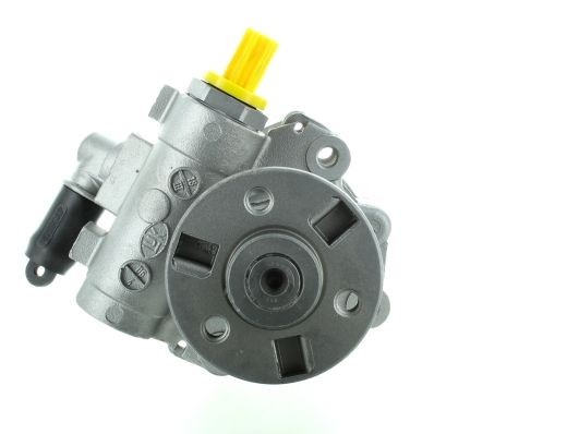 SPIDAN Servopumpe GKNY10138 GKNY10138 Servopumpe SPIDAN BMW 5-serie