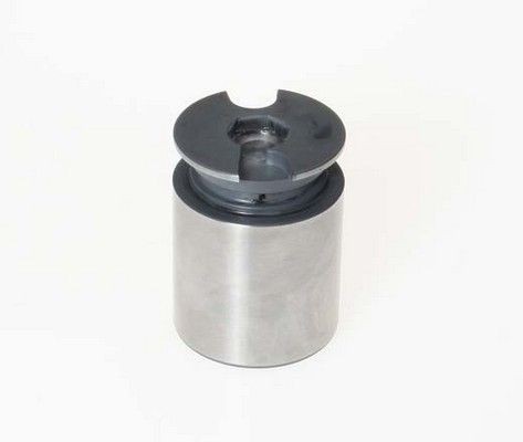 BREMBO Piston, brake caliper F PI 124 F PI 124 BREMBO brake caliper piston for SEAT ALHAMBRA