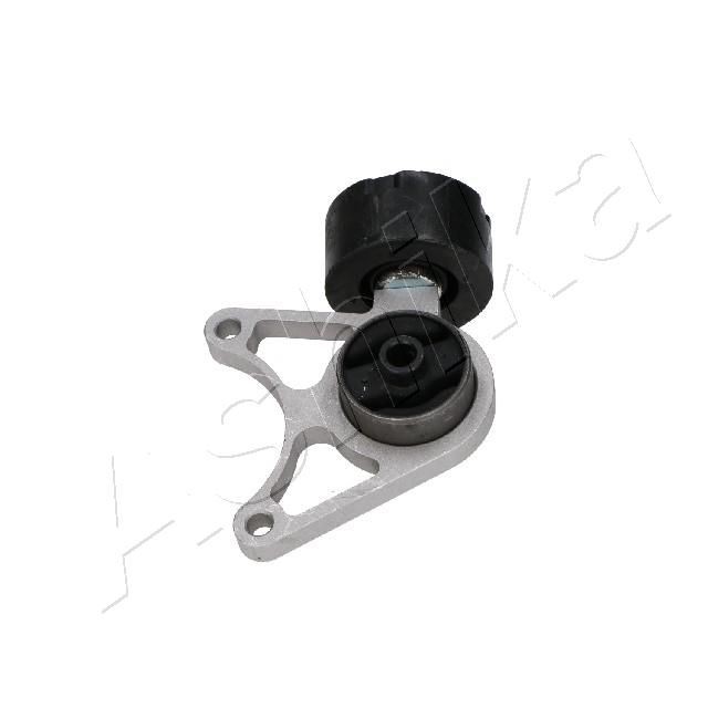 ASHIKA Fäste, differential GOM-L42 ASHIKA GOM-L42 Differential CHEVROLET TRAILBLAZER original