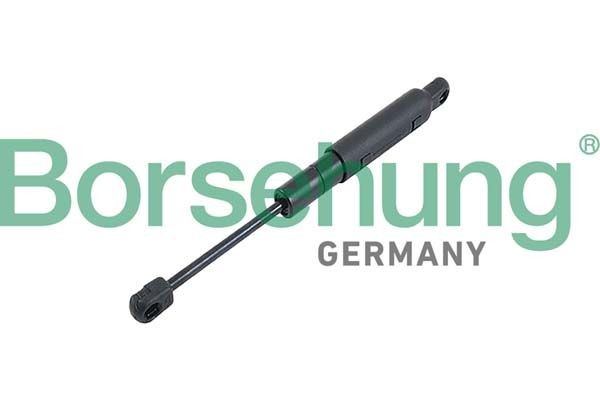 Borsehung Gassfjær, motorpanser B12482 Borsehung Panser gassfjær B12482 erfaring