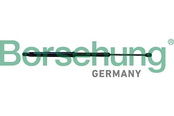 Borsehung Gassfjær, motorpanser B12483 Borsehung Panser gassfjær B12483 erfaring