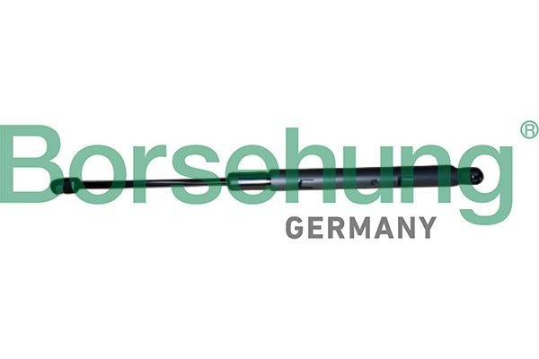 Borsehung Gassfjær, motorpanser B12484 Borsehung Panser gassfjær B12484 erfaringer