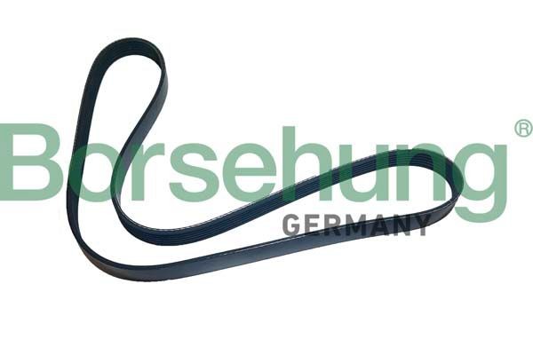 Borsehung Ķīļrievu siksna B12501 B12501 Rievsiksna FORD KUGA Borsehung