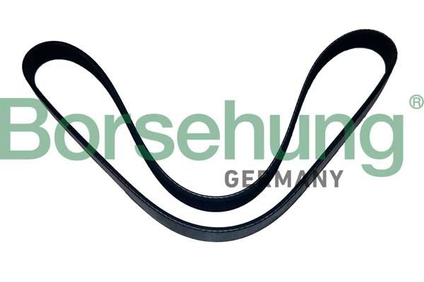 Borsehung Ozubený klinový remeň B12502 Ozubený klinový remeň Borsehung Fiat PUNTO B12502