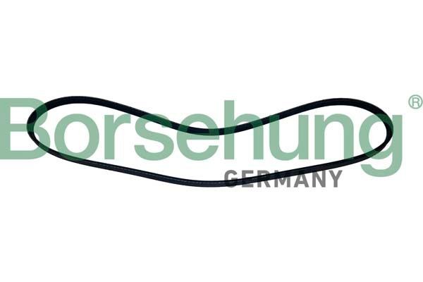 Borsehung Ozubený klinový remeň B12503 B12503 Ozubený klinový remeň FIAT PUNTO Borsehung