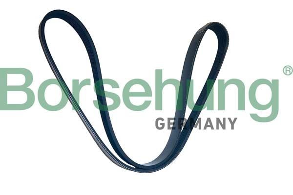 Borsehung Ozubený klinový remeň B12505 B12505 Ozubený klinový remeň FIAT PUNTO Borsehung