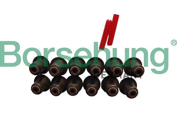 Borsehung Στεγανοπ. δακτύλιος, στέλεχος βαλβίδας B12508 Δακτύλιος στέλεχος βαλβίδας MAZDA Borsehung B12508
