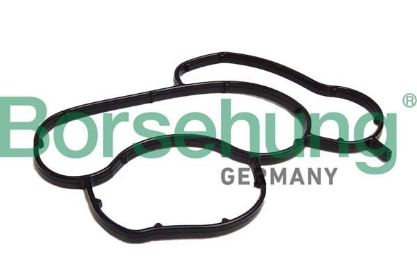 Borsehung Joint d'étanchéité, boîtier de filtre à huile B12529 BMW X1 Joint d'étanchéité boîtier de filtre à huile Borsehung B12529