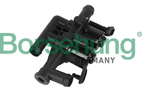 Borsehung Jahutusvedeliku regulaatorklapp B12579 Jahutusvedeliku regulaatorklapp Borsehung NAVARA B12579 odav