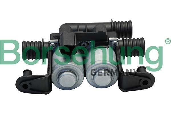 Borsehung Βαλβίδα ελέγχου ψυκτικού B12581 Βαλβίδα ελέγχου ψυκτικού Borsehung NAVARA B12581 φθηνά