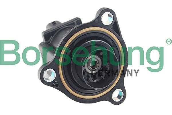 Borsehung Trykklufteventil, lader B12584 B12584 Trykklufteventil, lader BMW X3 Borsehung