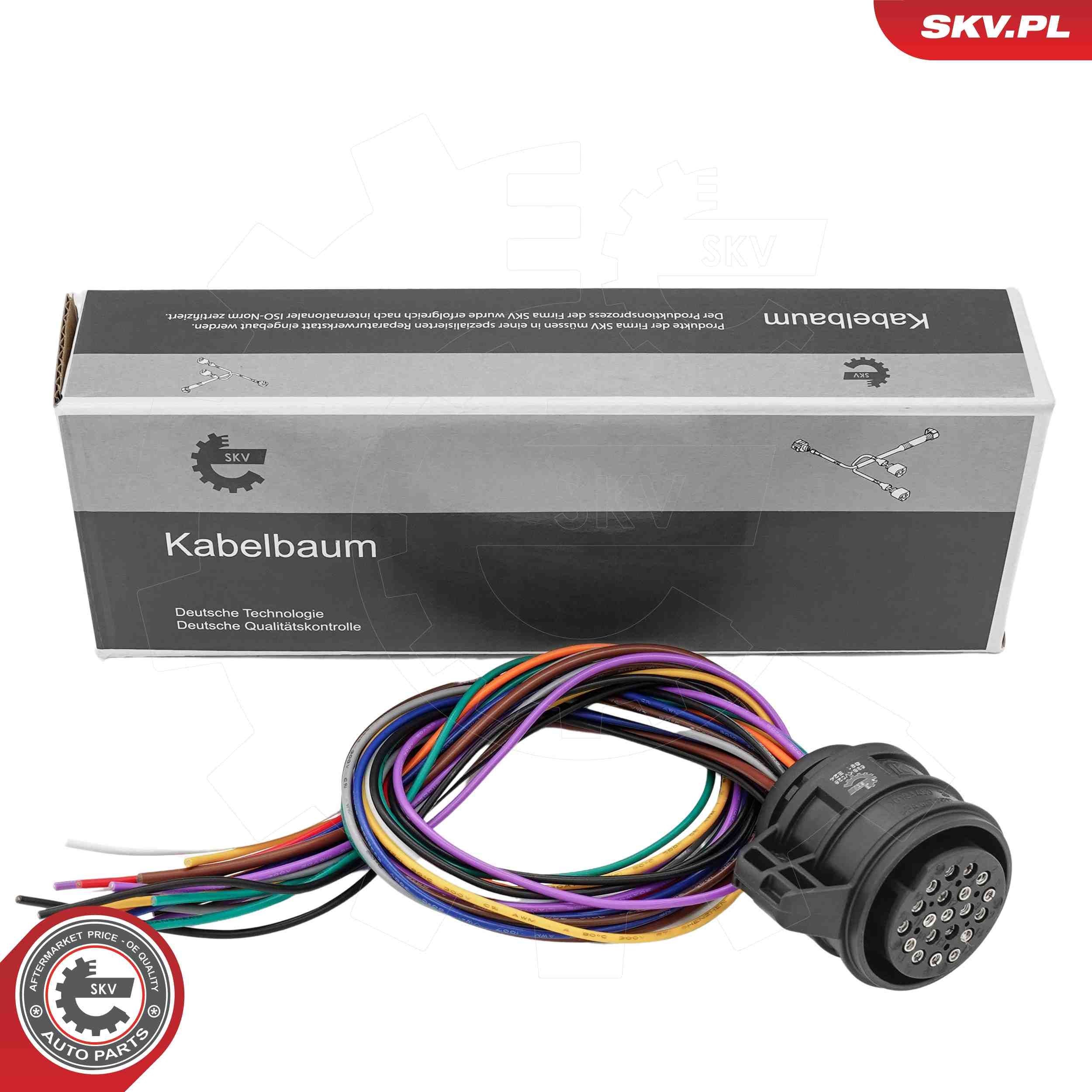 ESEN SKV Lülitusklapp, automaatkäigukast 53SKV028 ESEN SKV 53SKV028 Lülitusklapp, automaatkäigukast VW T6 Van hind