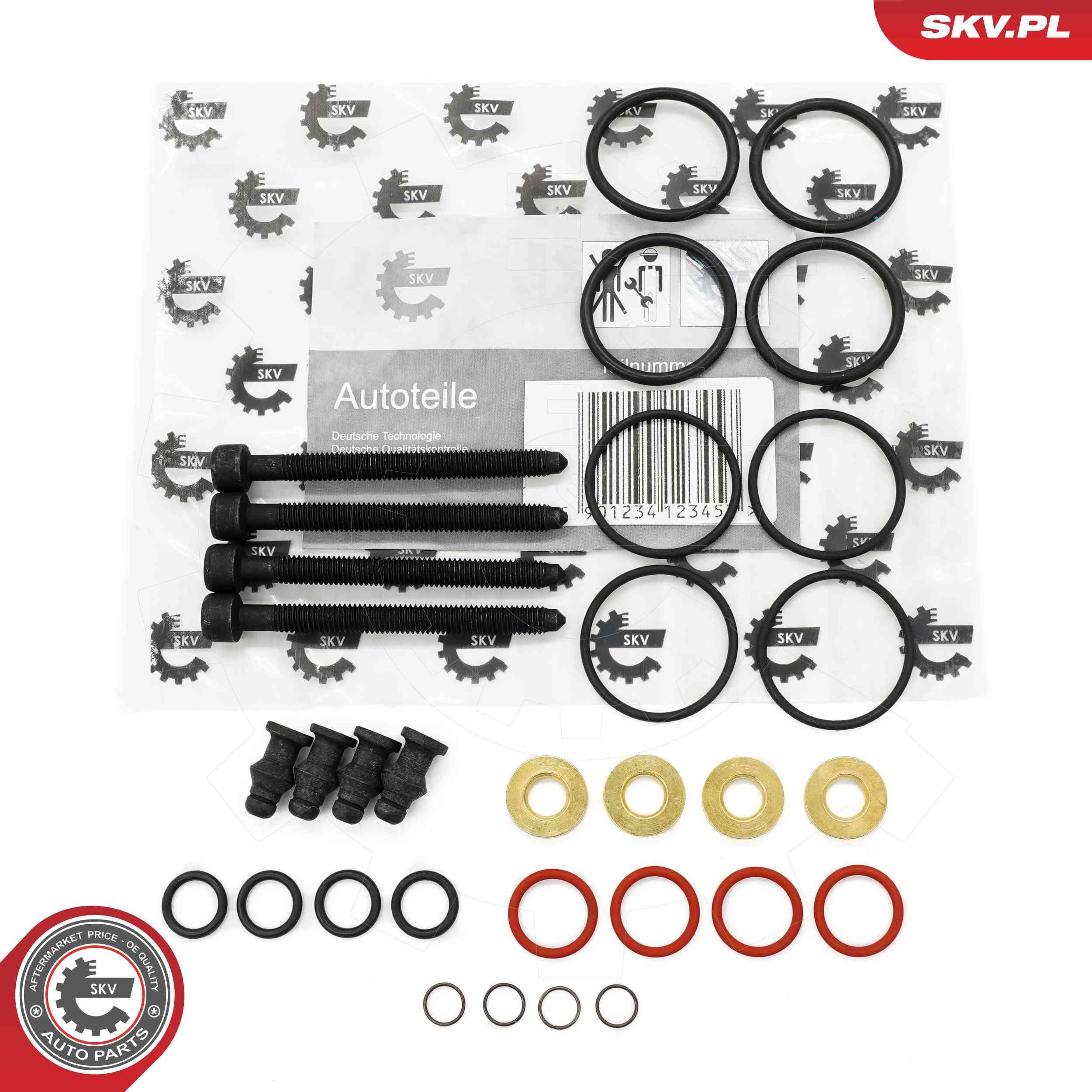 ESEN SKV Reparatieset, pomp-verstuiver-eenheid 53SKV187 Reparatiesysteem MERCEDES-BENZ ESEN SKV 53SKV187