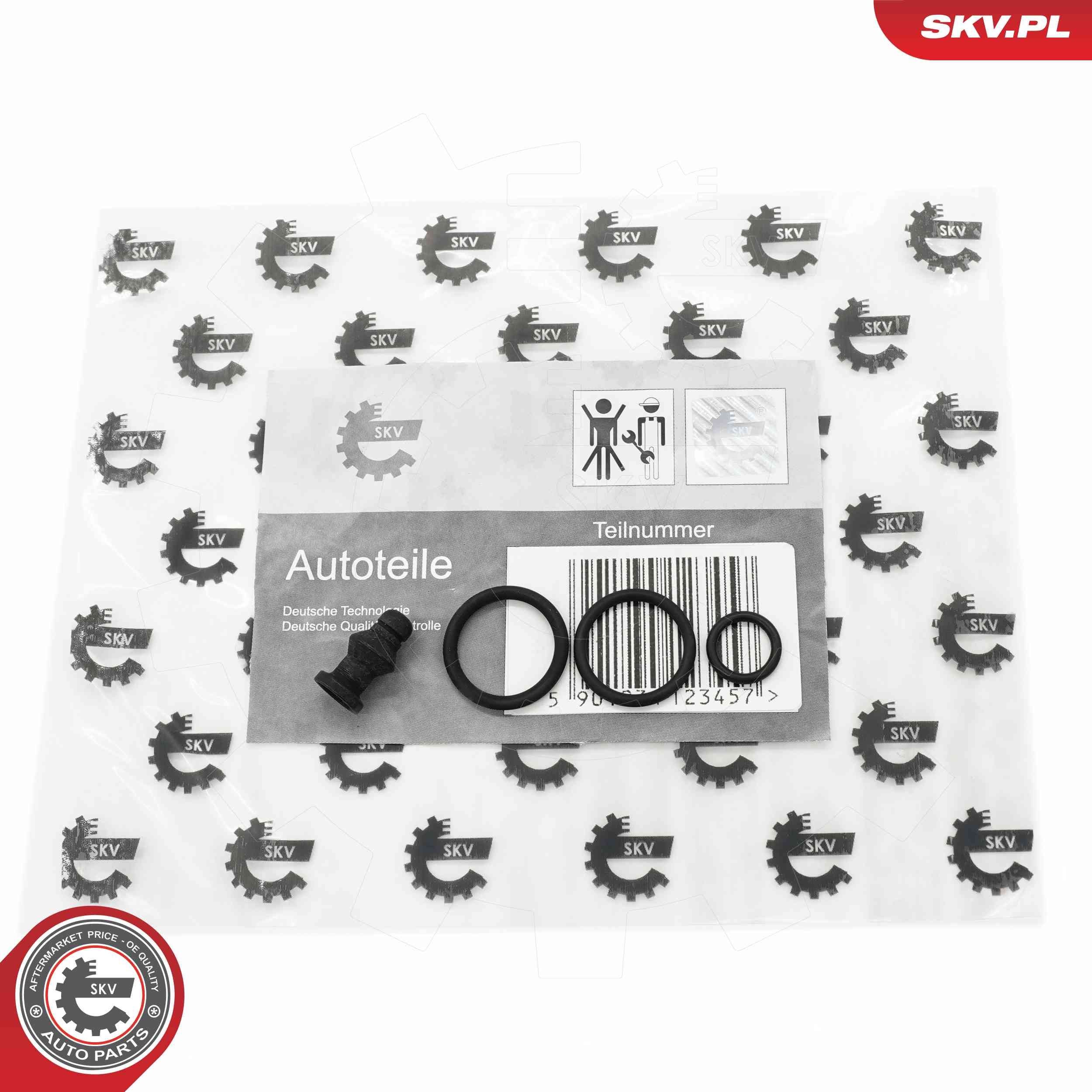 ESEN SKV Remkomplekts, Sūknis-Sprausla 53SKV197 ESEN SKV 53SKV197 Remkomplekts, sprausla Audi A3 8va cena