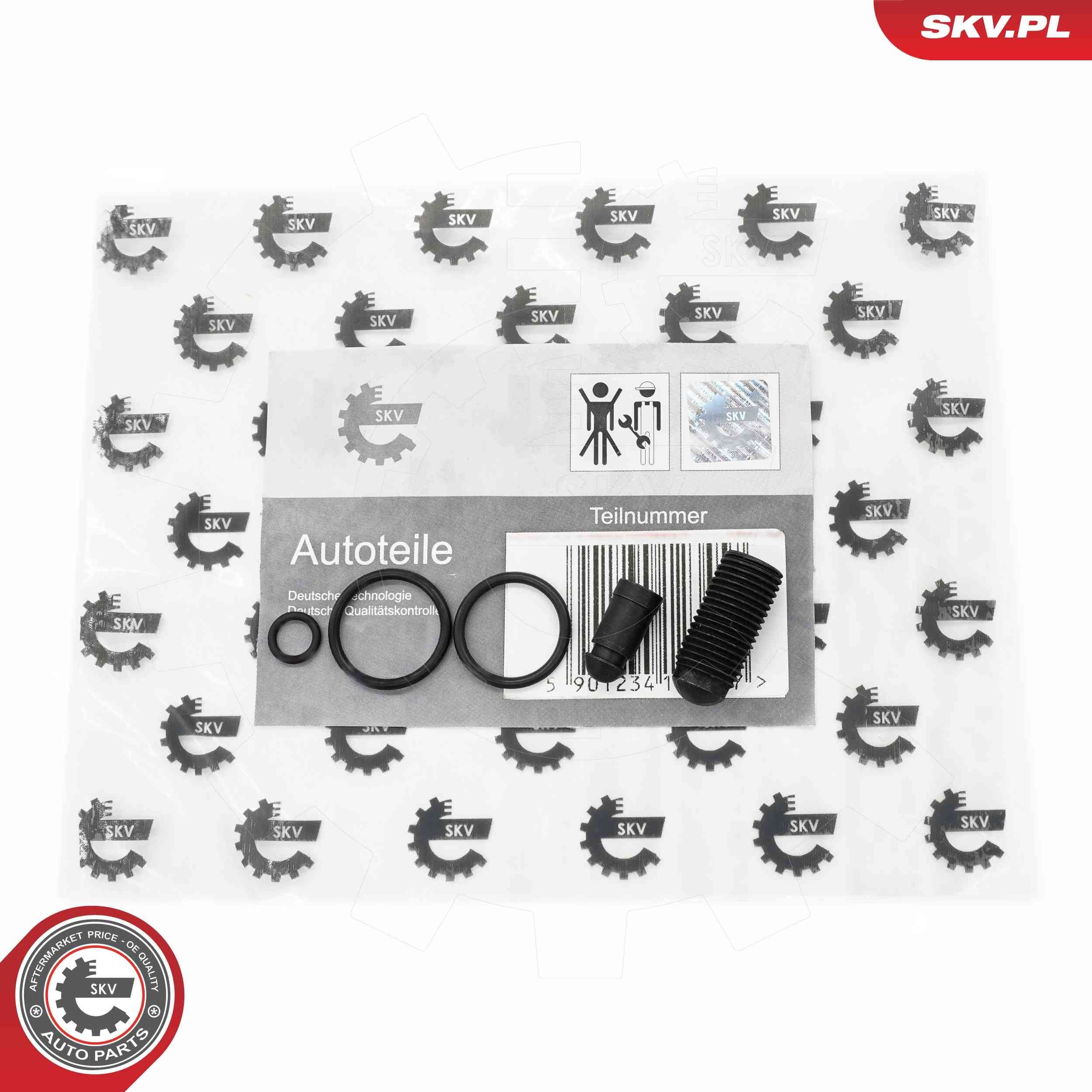 ESEN SKV Kit de réparation, unité pompe-injecteur 53SKV198 Kit de réparation injecteur ESEN SKV PEUGEOT 53SKV198
