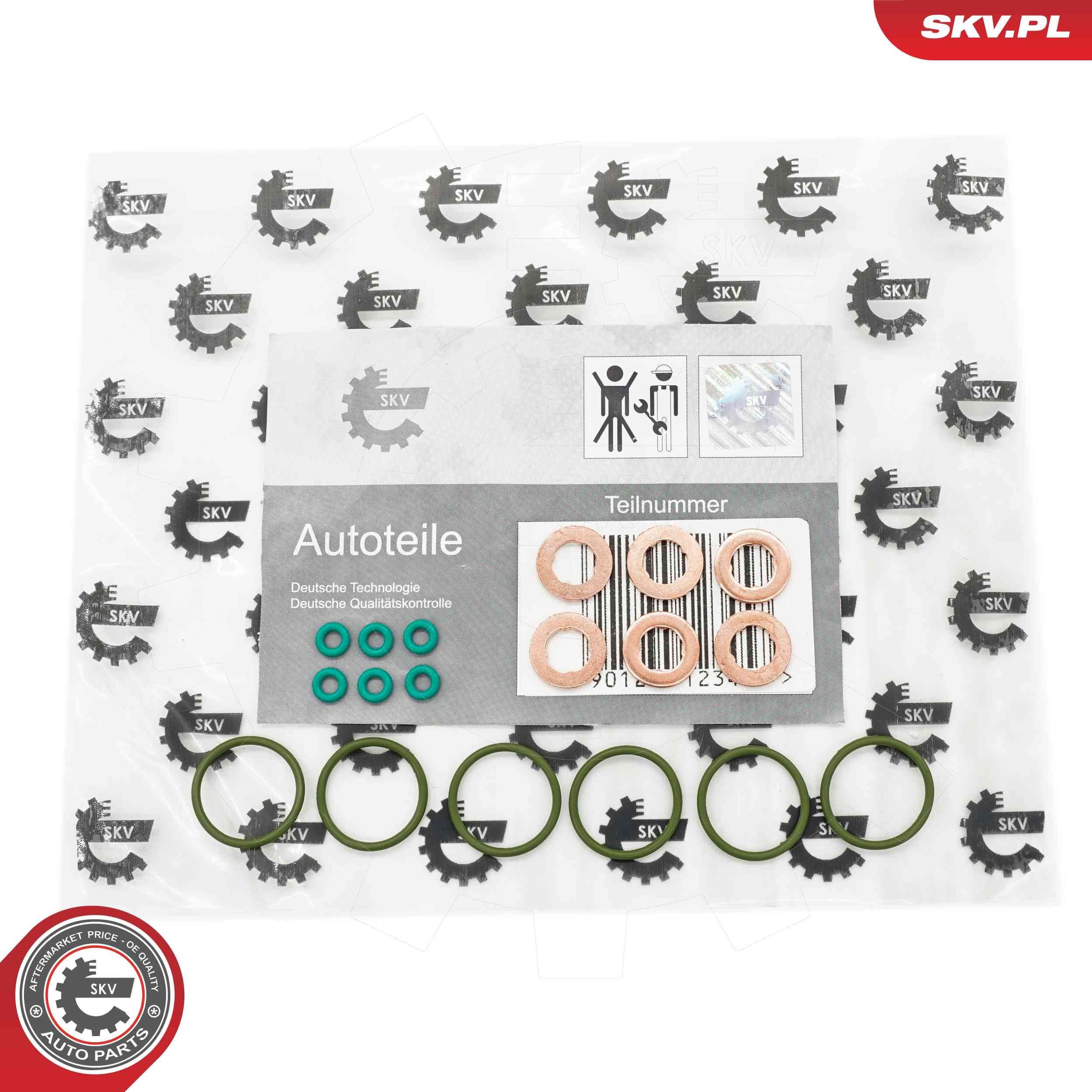 ESEN SKV Jogo de retentores, válvula injectora 53SKV200 53SKV200 Retentor suporte de injector VW TIGUAN ESEN SKV