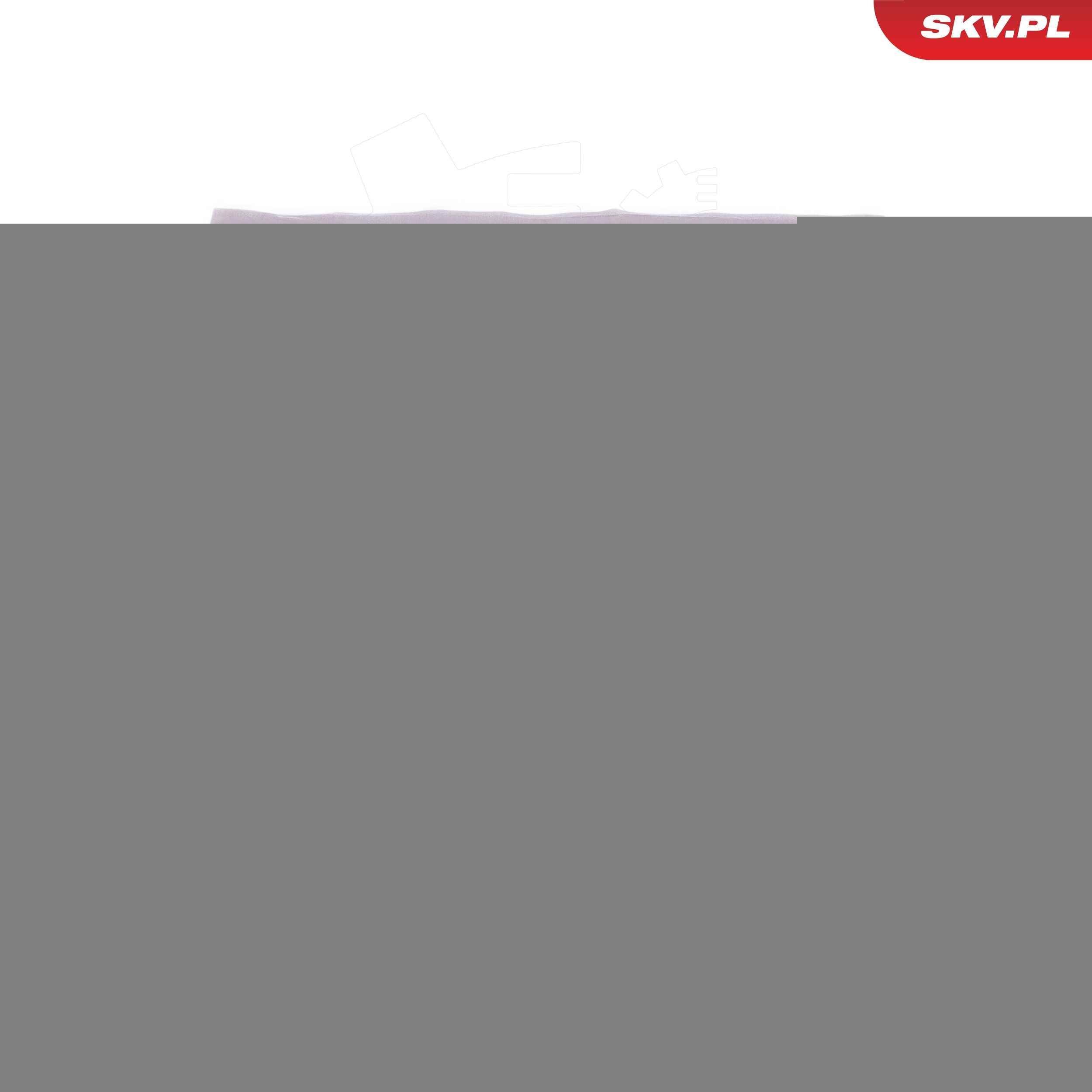 ESEN SKV Stænkskærm, bremseskive 57SKV012 Ankerplade RENAULT ESEN SKV 57SKV012