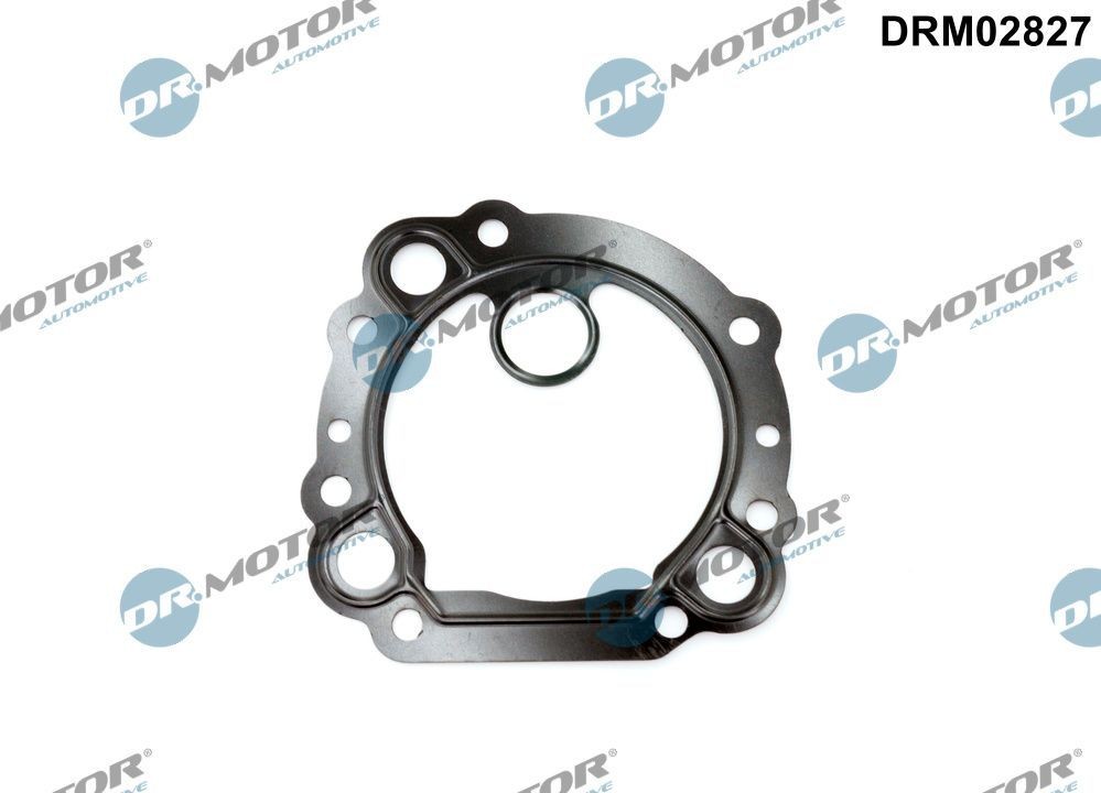 DR.MOTOR AUTOMOTIVE Guarnizione valvola EGR (ricircolo gas scarico) DRM02827 DRM02827 costo Guarnizione valvola egr MAZDA CX-7 DR.MOTOR AUTOMOTIVE