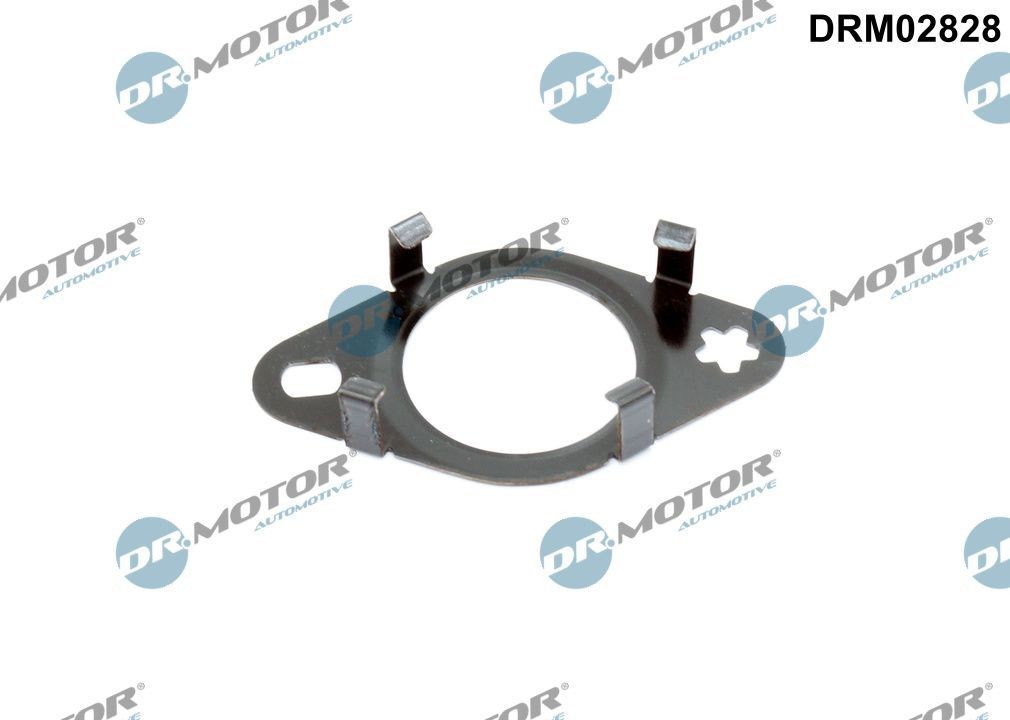 DR.MOTOR AUTOMOTIVE Tiiviste, EGR-venttiilin johdin DRM02828 DR.MOTOR AUTOMOTIVE DRM02828 FORD USA Egr tiiviste hinta