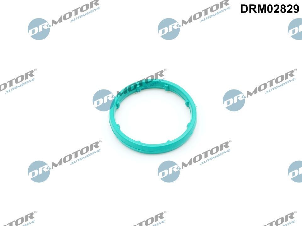 DR.MOTOR AUTOMOTIVE Blīve, Eļļas radiators DRM02829 DR.MOTOR AUTOMOTIVE DRM02829 Eļļas radiators blīve Volvo V70 1 cena