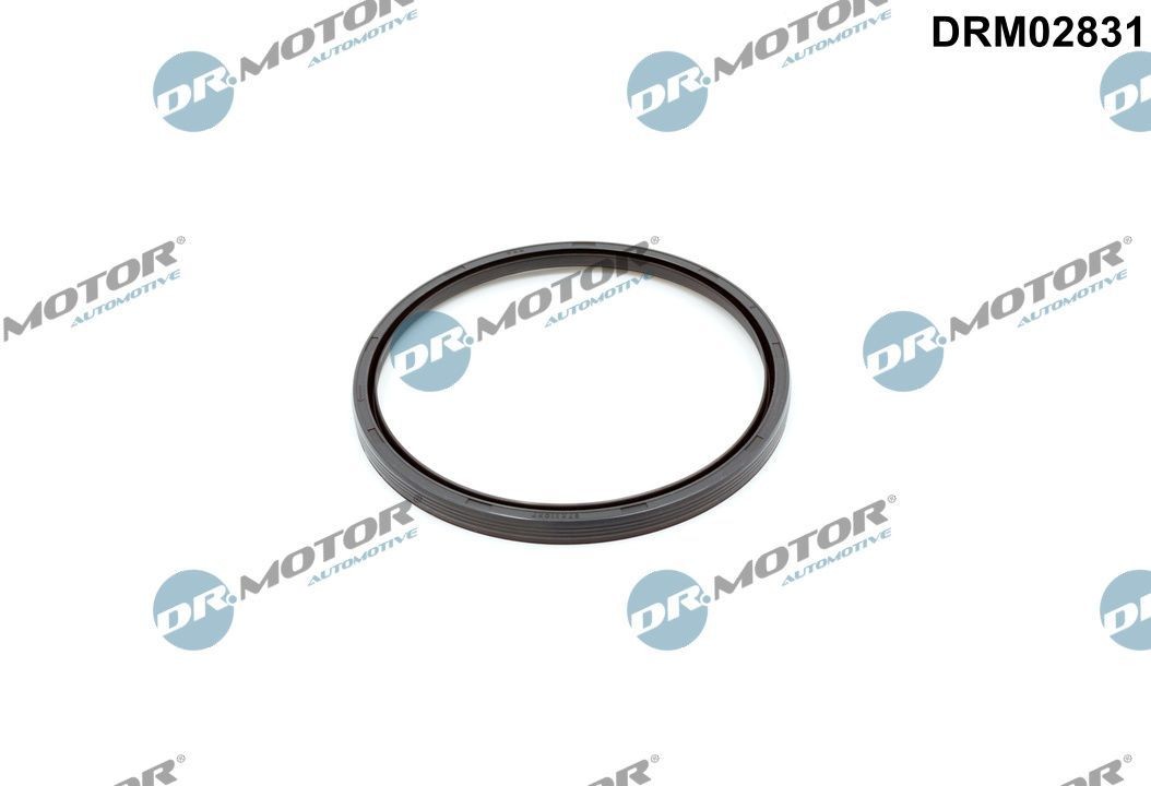 DR.MOTOR AUTOMOTIVE Kurbelwellensimmering DRM02831 DR.MOTOR AUTOMOTIVE DRM02831 Kurbelwellensimmering