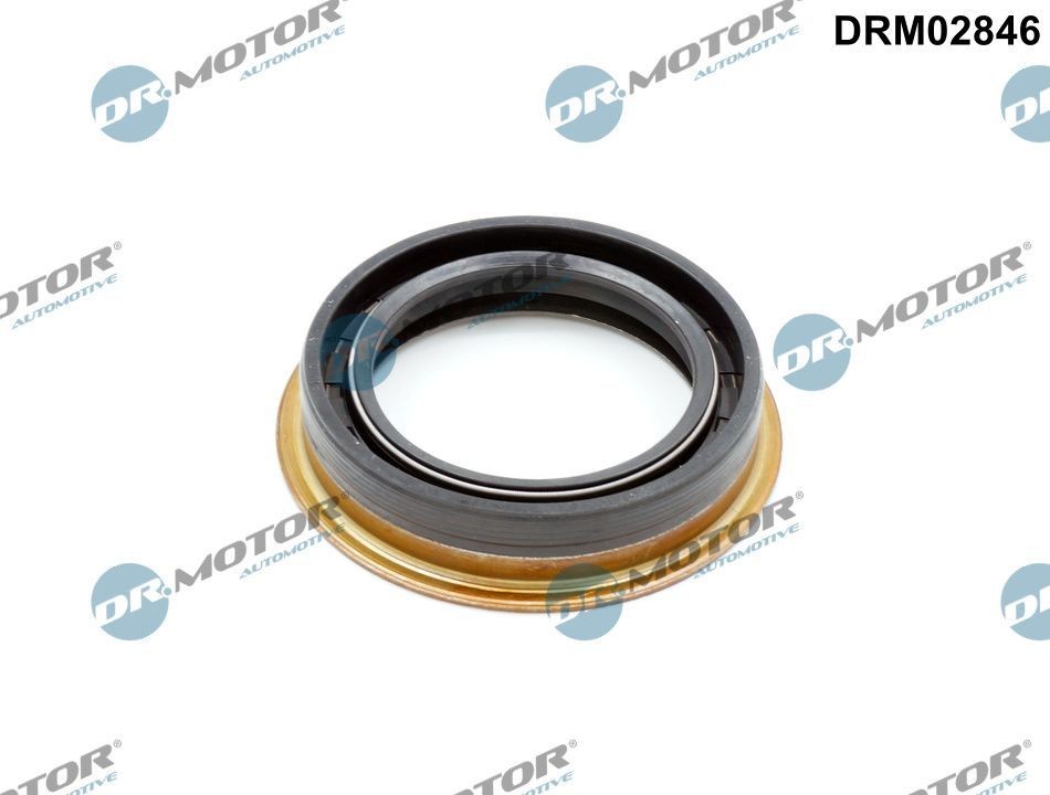 DR.MOTOR AUTOMOTIVE Τσιμούχα, διαφορικό DRM02846 DR.MOTOR AUTOMOTIVE DRM02846 Τσιμούχα, διαφορικό FORD Transit Mk7 Φορτηγό πλατφόρμα / Σασσί (V363) σε χαμηλές τιμές