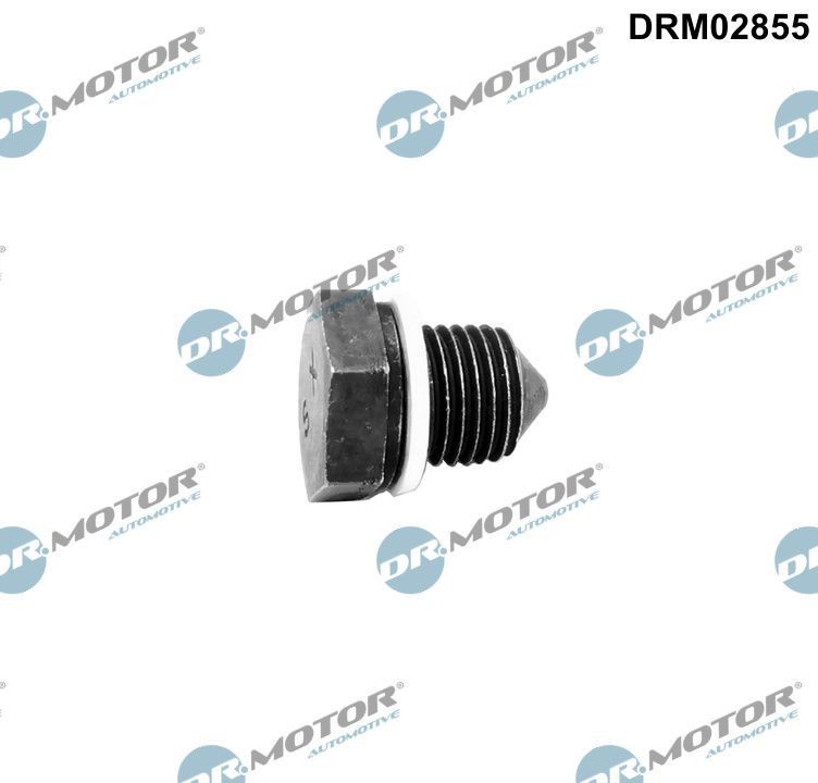 DR.MOTOR AUTOMOTIVE Βιδωτή τάπα, λεκάνη λαδιού DRM02855 Βίδα εκκένωσης κάρτερ DR.MOTOR AUTOMOTIVE TOURAN DRM02855 φθηνά