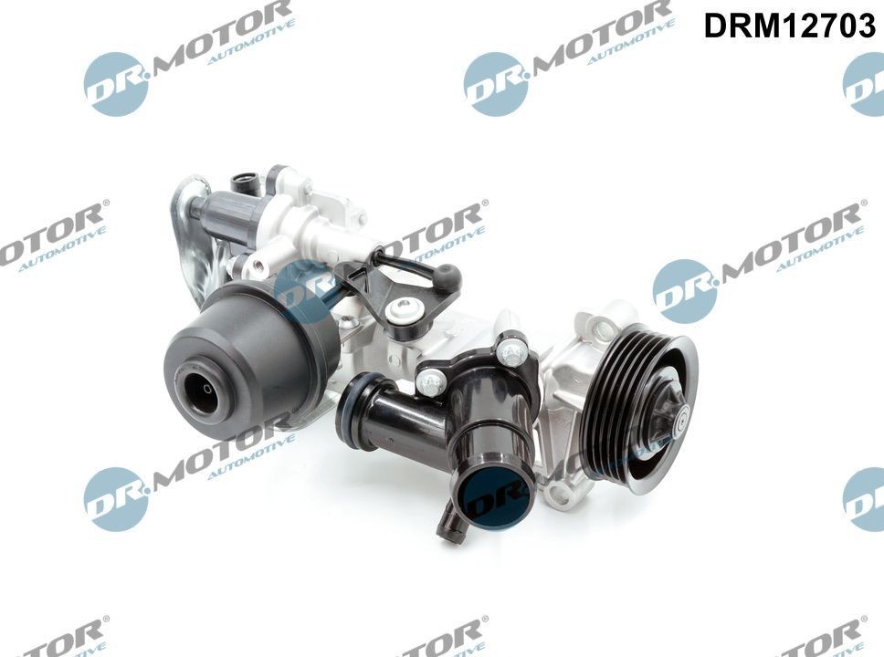 DR.MOTOR AUTOMOTIVE Vattenpump DRM12703 DRM12703 DR.MOTOR AUTOMOTIVE kylvätskepump Ford USA EDGE