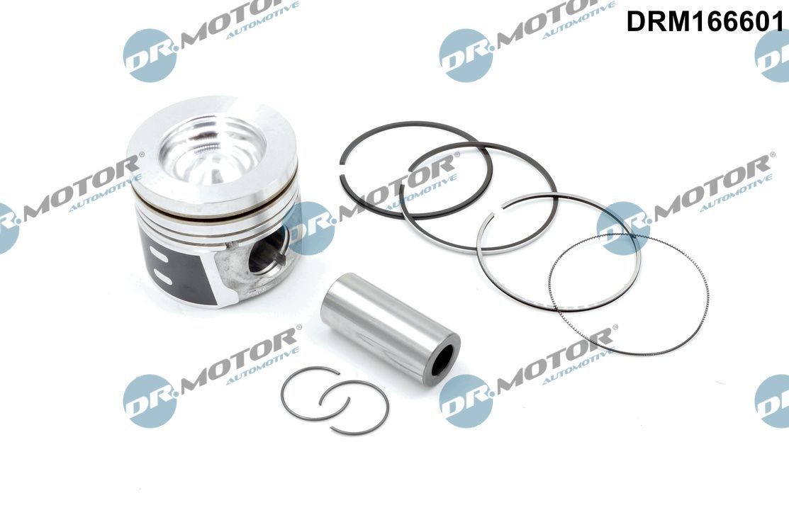 DR.MOTOR AUTOMOTIVE Stempel DRM166601 Motor stempel DR.MOTOR AUTOMOTIVE Volkswagen PASSAT DRM166601