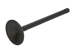 DNJ ENGINE COMPONENTS Avgasventil EV1160 DNJ ENGINE COMPONENTS EV1160 Avgasventil Jeep Commander XK