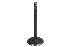 DNJ ENGINE COMPONENTS Inlet valve IV1160 DNJ ENGINE COMPONENTS IV1160 Neon II Saloon inlet valves price