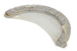 DNJ ENGINE COMPONENTS Afstandsschijf, krukas TW1158 DNJ ENGINE COMPONENTS TW1158 Krukasschijven CHRYSLER PT Cruiser Station Wagon aan een voordelige prijs