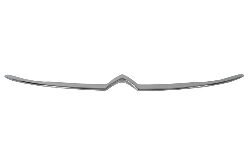 BLIC Ram, kylargrill 6502-07-0554922P Kylarmaskering Citroën RD_ 6502-07-0554922P BLIC