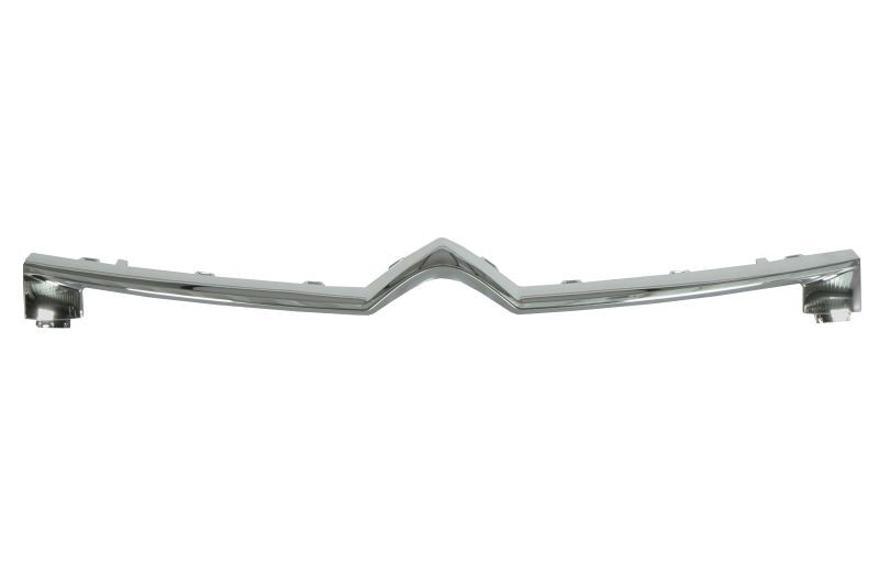 BLIC Pynte- / vernelist, radiatorgitter 6502-07-0554923P 6502-07-0554923P Front grill CITROËN BX BLIC