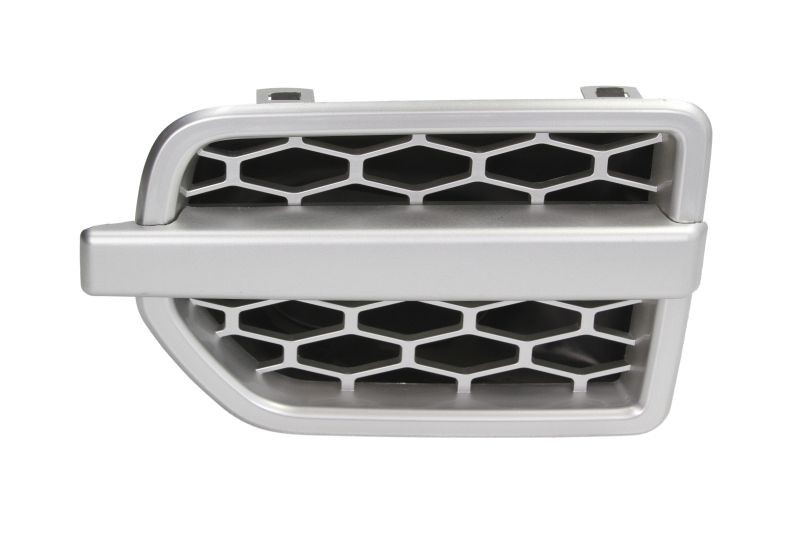 BLIC Prydnads- / Skyddslist, skärm 6502-07-6490995P BLIC 6502-07-6490995P Prydnads- / Skyddslist, skärm