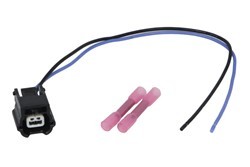 Kit de reparação de cabos, luz d chapa de matrícula AKUSAN K06W021AKN AKUSAN K06W021AKN: Luz de placa Renault GRAND SCÉNIC 2016