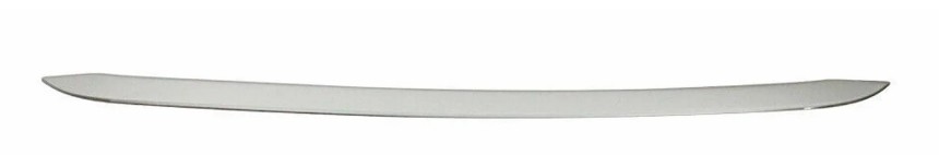 Panel, baklucka OMAC 3214052 OMAC 3214052: Bagagelucka Hyundai H-1 Skåp 2005