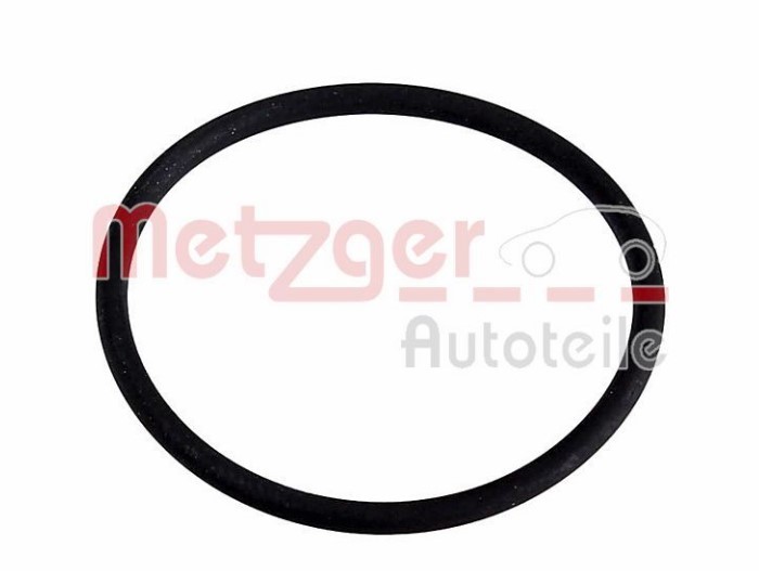 METZGER Pakning, brændstofpumpe 2250623 METZGER 2250623 Brændstofpumpe VW T Roc A11 billig