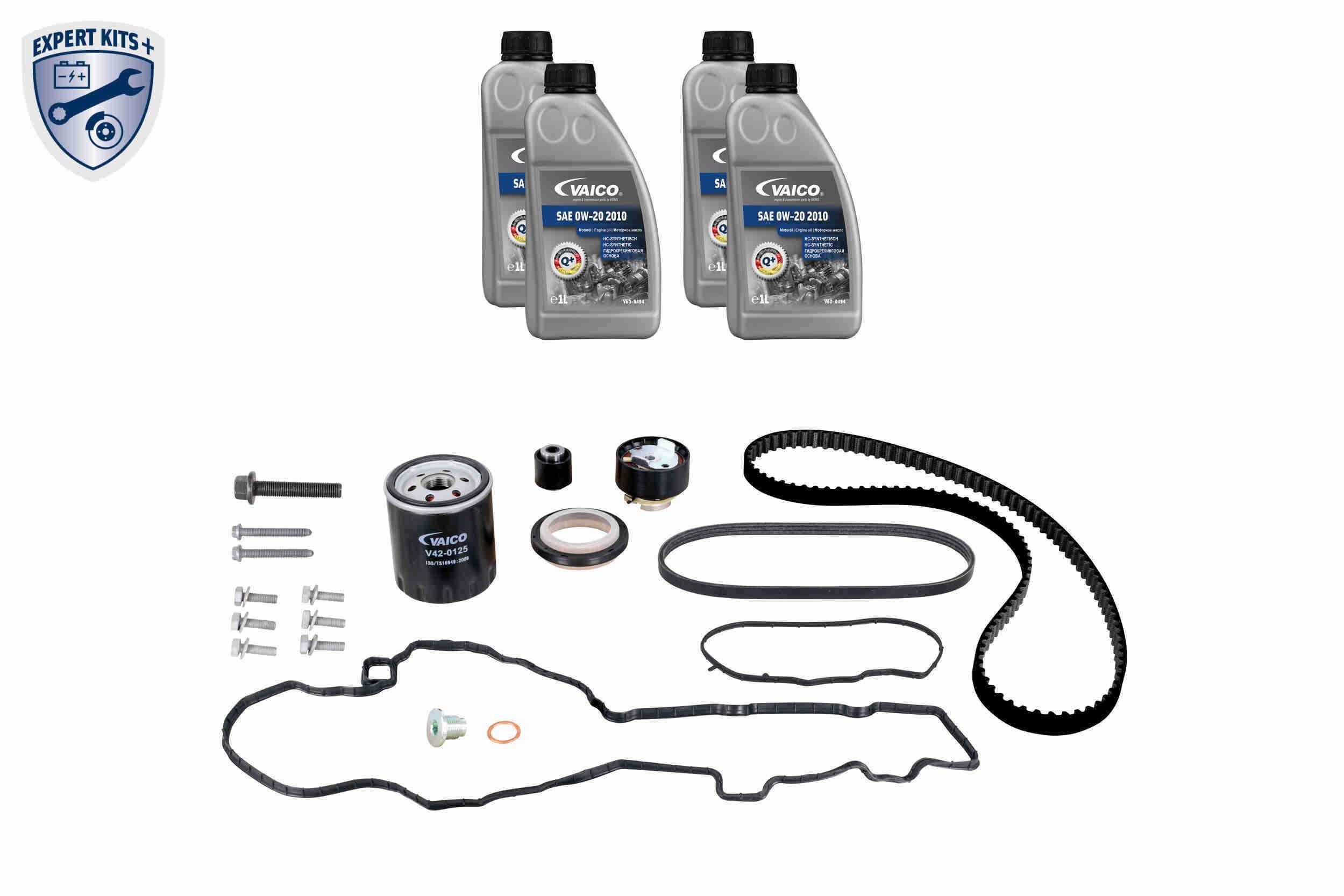 VAICO Hammasrihma komplekt V22-1329 V22-1329 Hammasrihma komplekt FIAT BRAVO VAICO