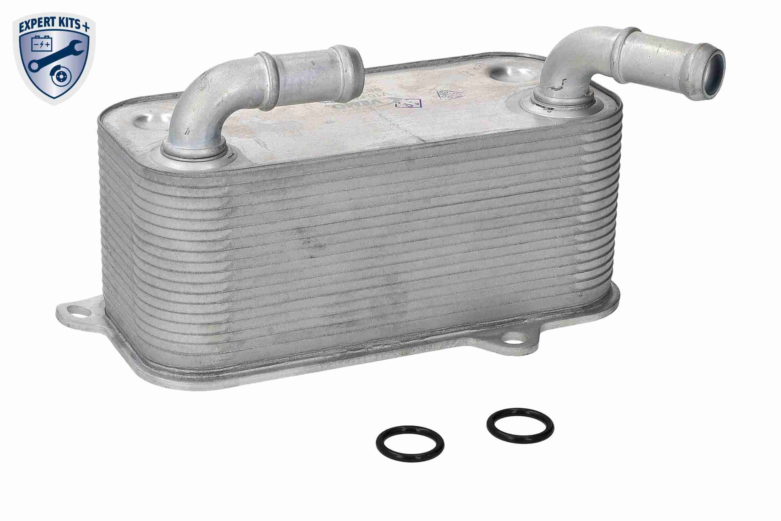 VEMO Radiatore olio, Cambio automatico V10-60-0106 VEMO V10-60-0106 costo Radiatore olio cambio automatico VW T6 Van originale