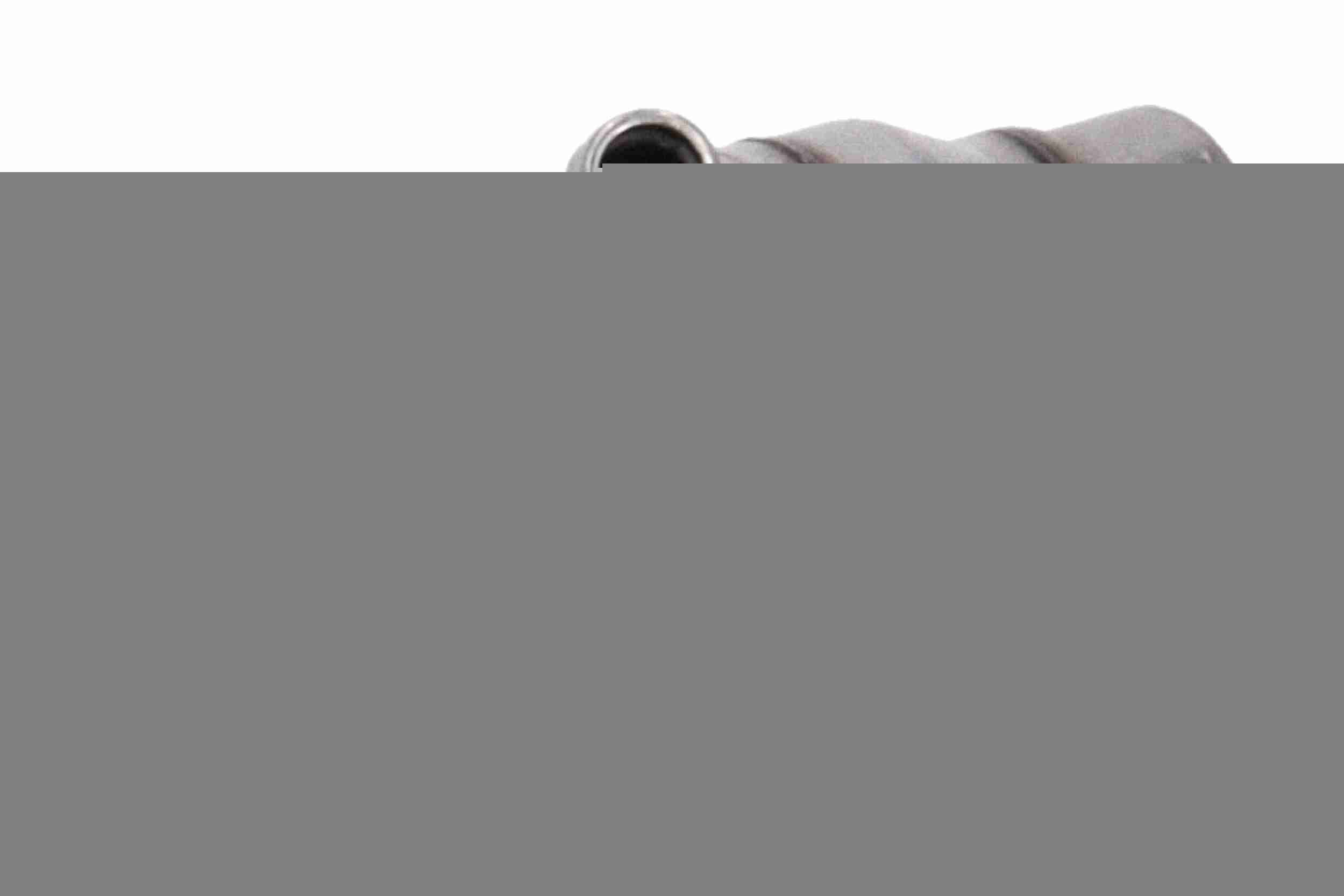 VEMO Modulo dosatore, Iniezione urea V46-68-0004 V46-68-0004 Modulo dosatore PEUGEOT BOXER VEMO costo