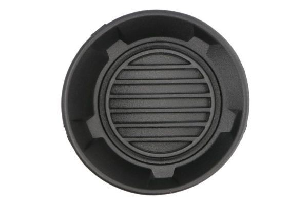 BLIC Griglia paraurti 5513-00-1189922P BLIC 5513-00-1189922P Griglie fendinebbia Camaro IV Cabrio prezzo