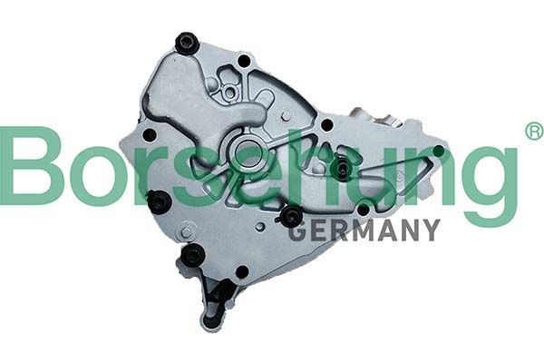 Borsehung Öljypumppu B11902 MERCEDES-BENZ Moottori öljypumppu Borsehung B11902