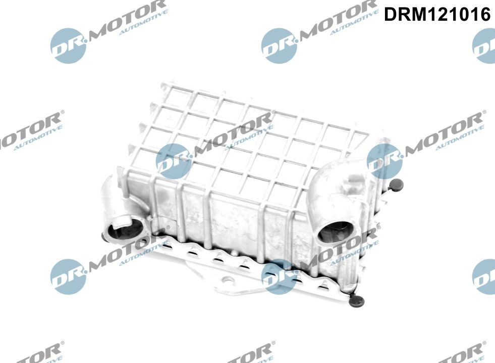 DR.MOTOR AUTOMOTIVE Ölkühler DRM121016 Zusatzölkühler DR.MOTOR AUTOMOTIVE M-Klasse DRM121016 günstig