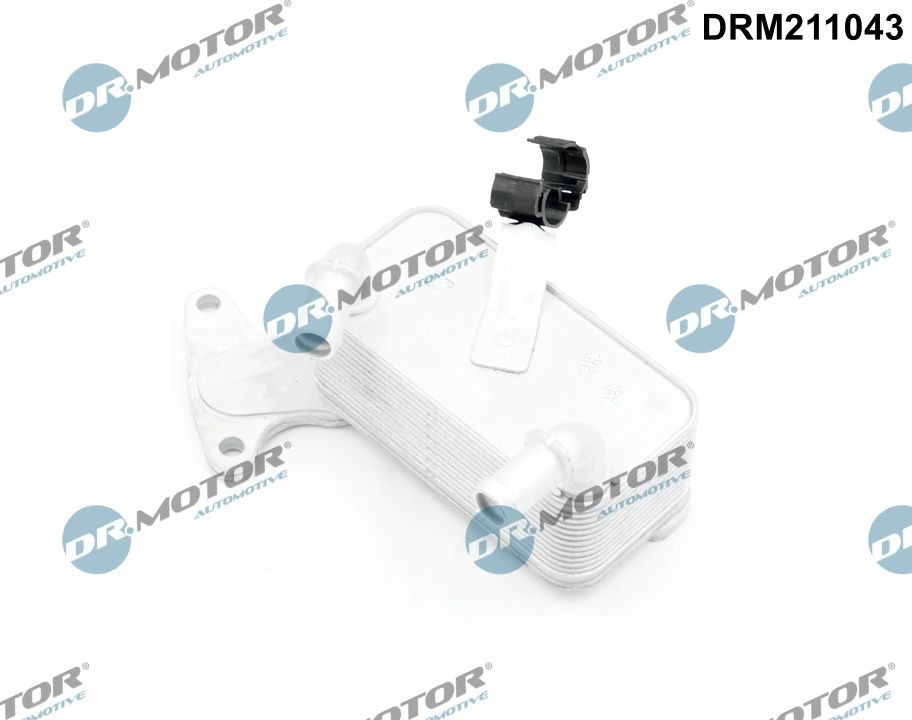 DR.MOTOR AUTOMOTIVE Ölkühler, Automatikgetriebe DRM211043 Automatikgetriebe Ölkühler DR.MOTOR AUTOMOTIVE PAJERO SPORT DRM211043 günstig
