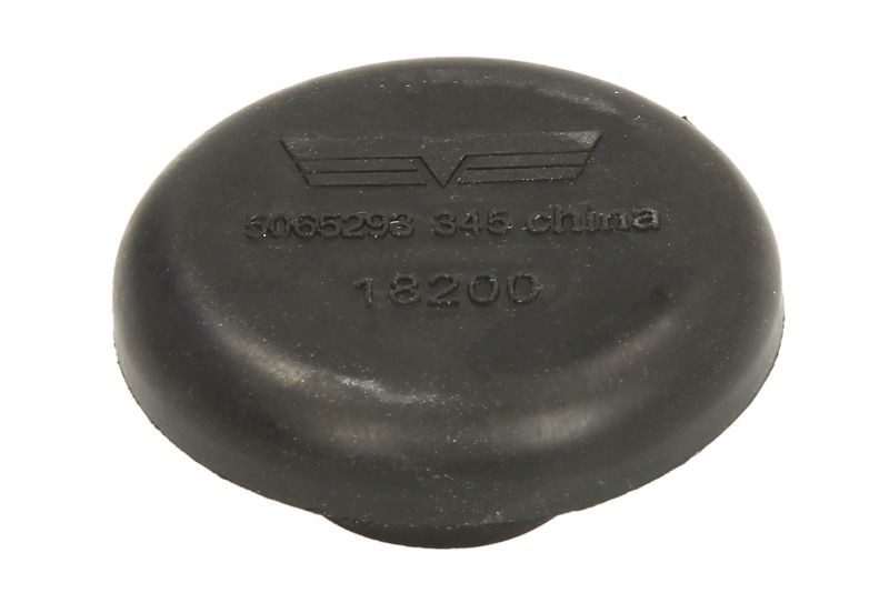 DORMAN Βιδωτή τάπα, διαφορικό 090-062 Σώμα διαφορικό Jeep WK, WK2 090-062 DORMAN