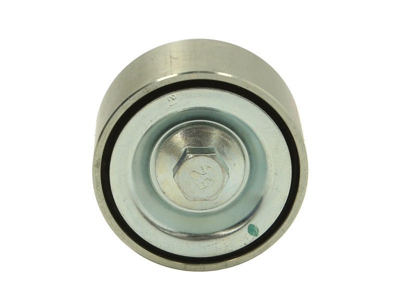 DAYCO Spriegotājrullītis, Ķīļrievu siksna APV2724 Spriegotājrullītis DAYCO 900 APV2724 lēti